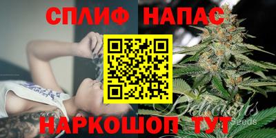 дмт Будённовск