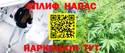 дмт Будённовск